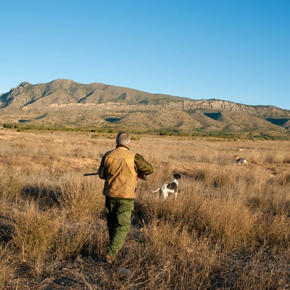 Gicquel et Desprez - Avocats - Droit de la Chasse - Temps et lieu de chasse