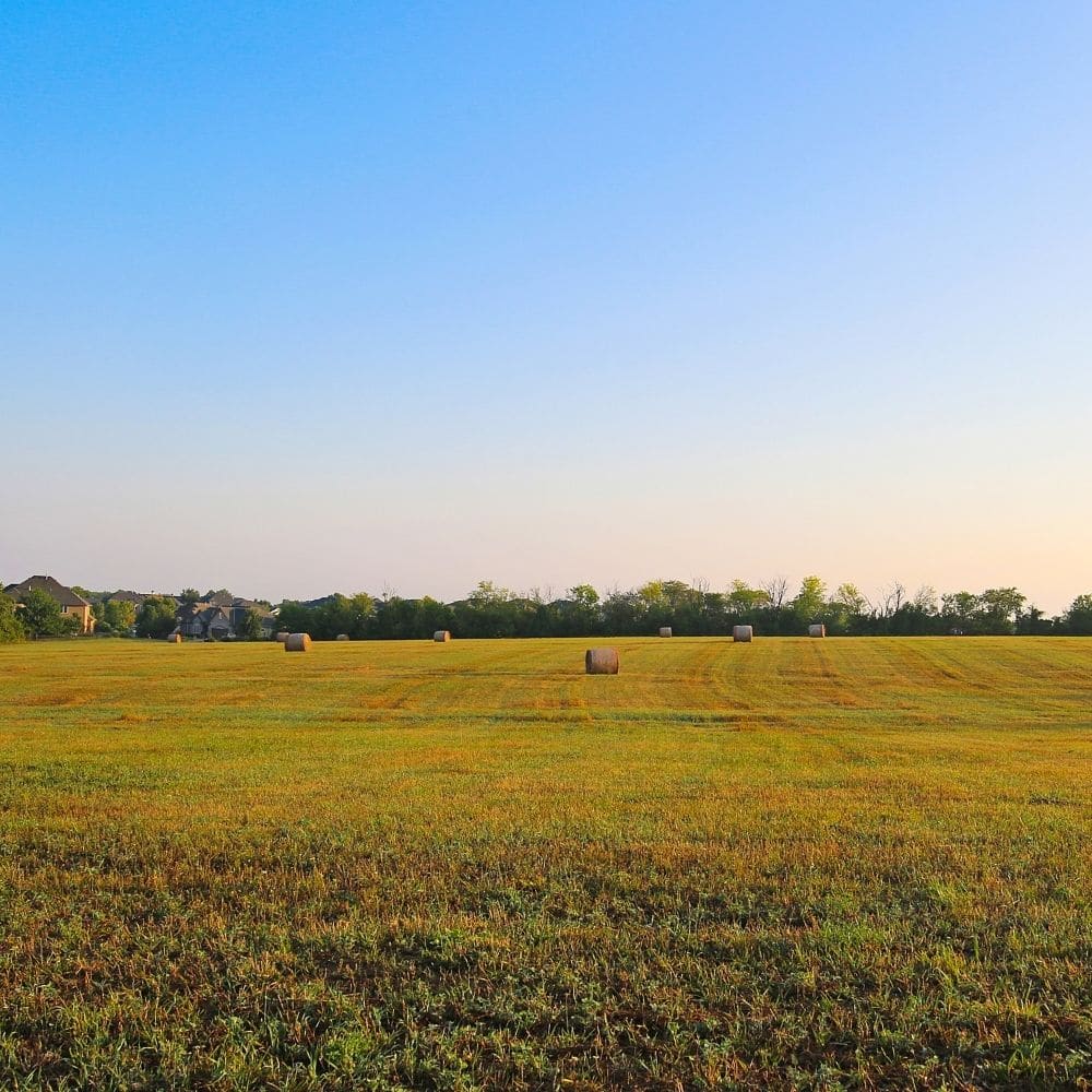 Gicquel et Desprez - Avocats - Droit des Baux - Bail rural