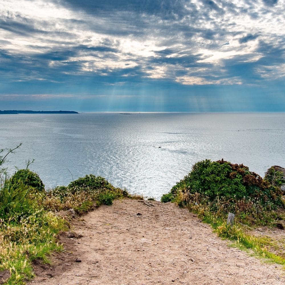 Gicquel et Desprez - Avocats - Droit du Voisinage - Servitude